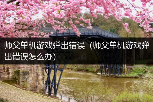 师父单机游戏弹出错误（师父单机游戏弹出错误怎么办）