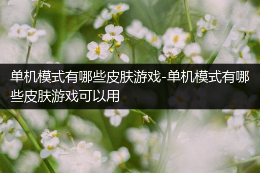 单机模式有哪些皮肤游戏-单机模式有哪些皮肤游戏可以用