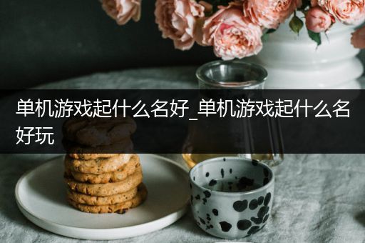 单机游戏起什么名好_单机游戏起什么名好玩