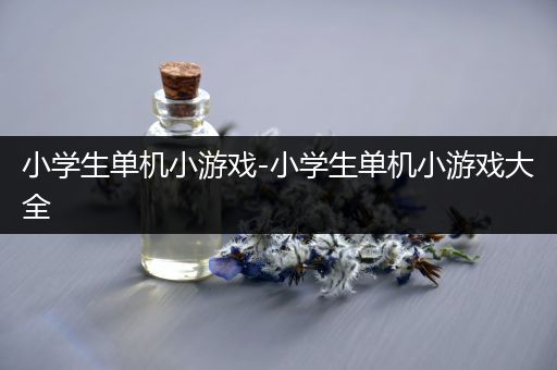 小学生单机小游戏-小学生单机小游戏大全