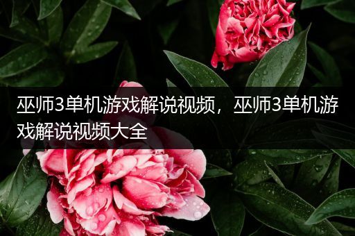 巫师3单机游戏解说视频，巫师3单机游戏解说视频大全