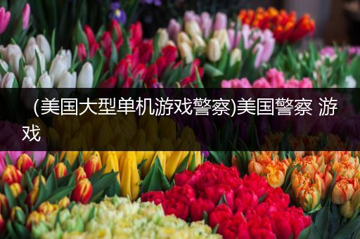 （美国大型单机游戏警察)美国警察 游戏