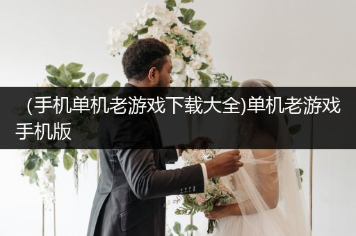 （手机单机老游戏下载大全)单机老游戏手机版