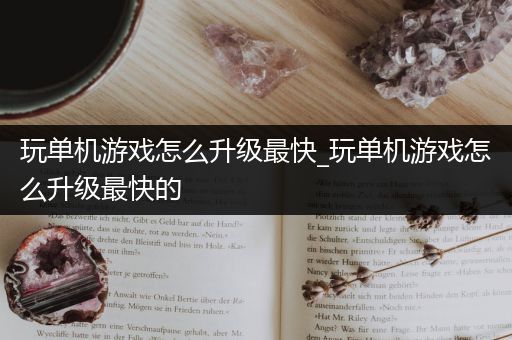 玩单机游戏怎么升级最快_玩单机游戏怎么升级最快的