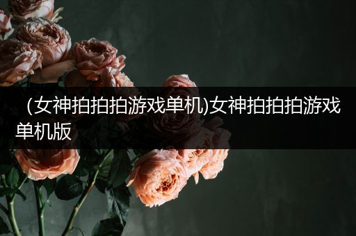 （女神拍拍拍游戏单机)女神拍拍拍游戏单机版