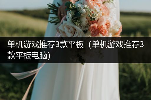 单机游戏推荐3款平板（单机游戏推荐3款平板电脑）