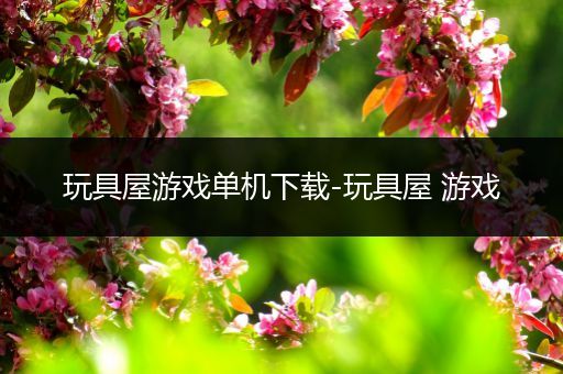 玩具屋游戏单机下载-玩具屋 游戏