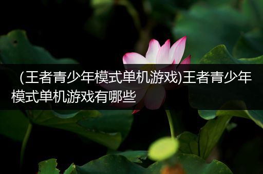 （王者青少年模式单机游戏)王者青少年模式单机游戏有哪些