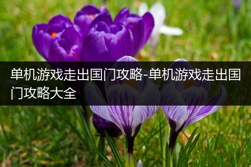 单机游戏走出国门攻略-单机游戏走出国门攻略大全