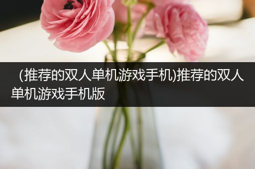 （推荐的双人单机游戏手机)推荐的双人单机游戏手机版