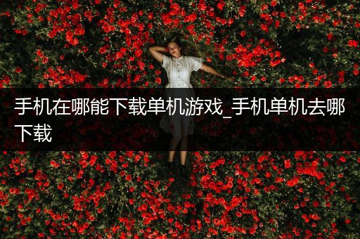 手机在哪能下载单机游戏_手机单机去哪下载