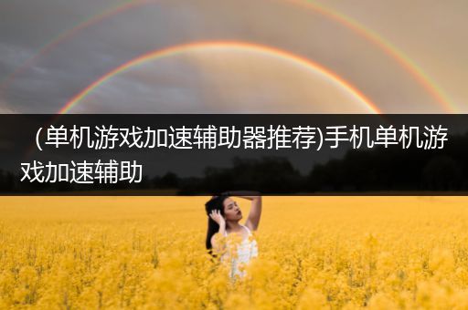 （单机游戏加速辅助器推荐)手机单机游戏加速辅助