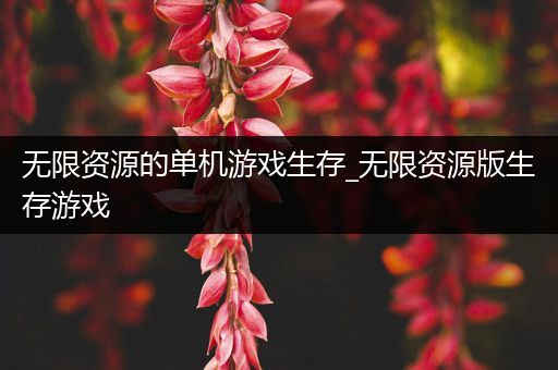 无限资源的单机游戏生存_无限资源版生存游戏