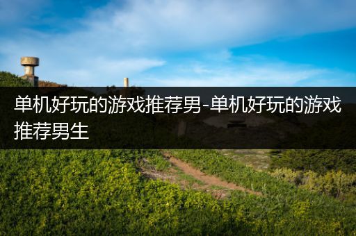 单机好玩的游戏推荐男-单机好玩的游戏推荐男生