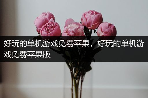 好玩的单机游戏免费苹果，好玩的单机游戏免费苹果版