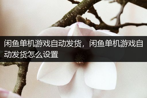 闲鱼单机游戏自动发货，闲鱼单机游戏自动发货怎么设置