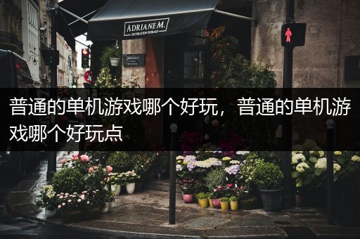 普通的单机游戏哪个好玩，普通的单机游戏哪个好玩点