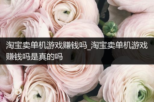 淘宝卖单机游戏赚钱吗_淘宝卖单机游戏赚钱吗是真的吗