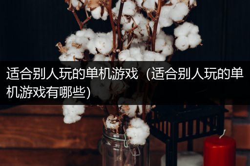 适合别人玩的单机游戏（适合别人玩的单机游戏有哪些）