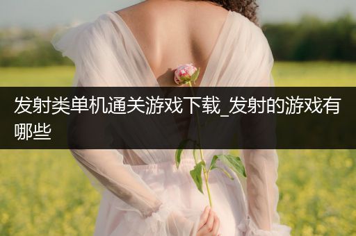 发射类单机通关游戏下载_发射的游戏有哪些