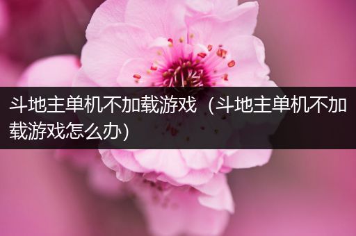 斗地主单机不加载游戏（斗地主单机不加载游戏怎么办）