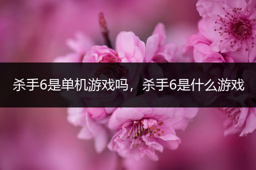 杀手6是单机游戏吗，杀手6是什么游戏
