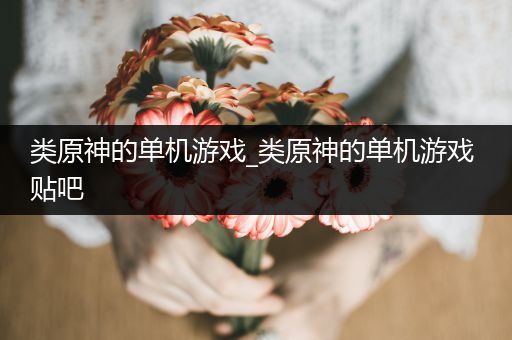 类原神的单机游戏_类原神的单机游戏 贴吧