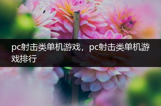 pc射击类单机游戏，pc射击类单机游戏排行