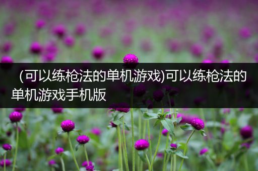 （可以练枪法的单机游戏)可以练枪法的单机游戏手机版