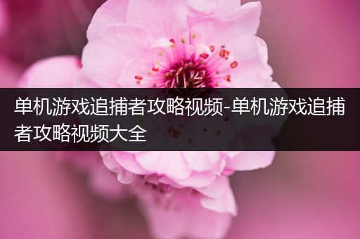 单机游戏追捕者攻略视频-单机游戏追捕者攻略视频大全