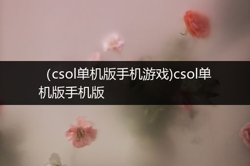 （csol单机版手机游戏)csol单机版手机版