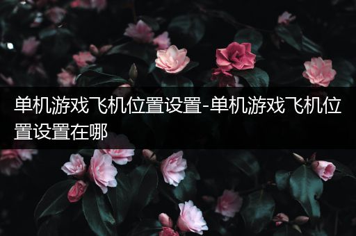 单机游戏飞机位置设置-单机游戏飞机位置设置在哪