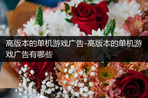 高版本的单机游戏广告-高版本的单机游戏广告有哪些