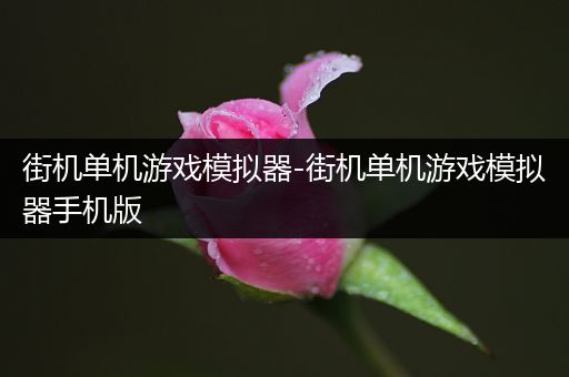 街机单机游戏模拟器-街机单机游戏模拟器手机版