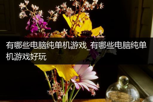 有哪些电脑纯单机游戏_有哪些电脑纯单机游戏好玩