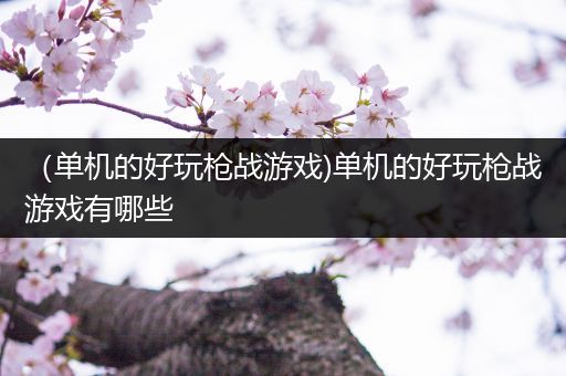 （单机的好玩枪战游戏)单机的好玩枪战游戏有哪些