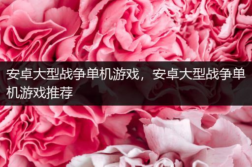 安卓大型战争单机游戏，安卓大型战争单机游戏推荐