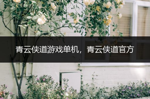 青云侠道游戏单机，青云侠道官方