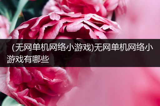 （无网单机网络小游戏)无网单机网络小游戏有哪些