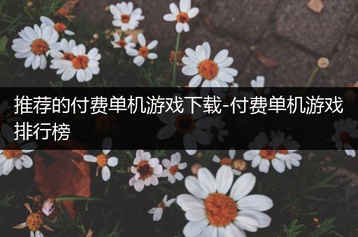推荐的付费单机游戏下载-付费单机游戏排行榜