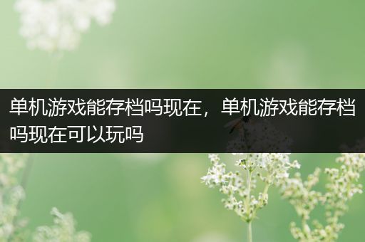 单机游戏能存档吗现在，单机游戏能存档吗现在可以玩吗