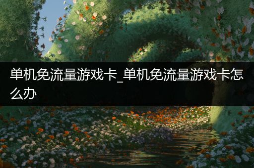 单机免流量游戏卡_单机免流量游戏卡怎么办