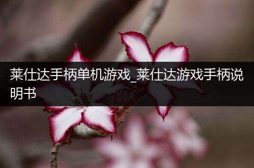 莱仕达手柄单机游戏_莱仕达游戏手柄说明书