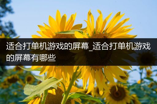 适合打单机游戏的屏幕_适合打单机游戏的屏幕有哪些