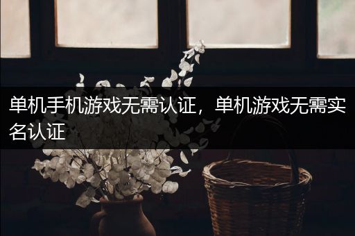 单机手机游戏无需认证，单机游戏无需实名认证
