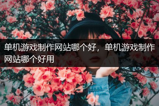单机游戏制作网站哪个好，单机游戏制作网站哪个好用