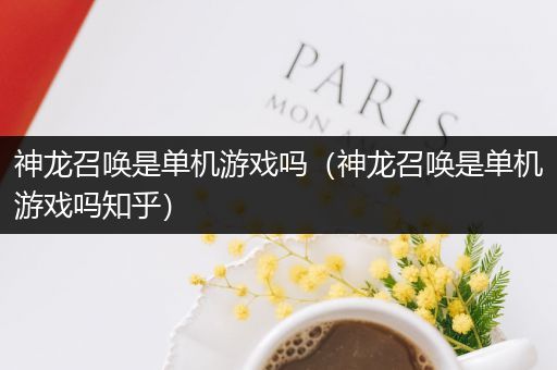 神龙召唤是单机游戏吗（神龙召唤是单机游戏吗知乎）