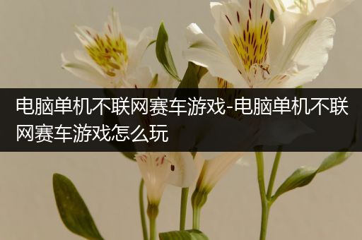 电脑单机不联网赛车游戏-电脑单机不联网赛车游戏怎么玩