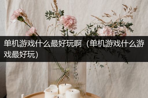 单机游戏什么最好玩啊（单机游戏什么游戏最好玩）
