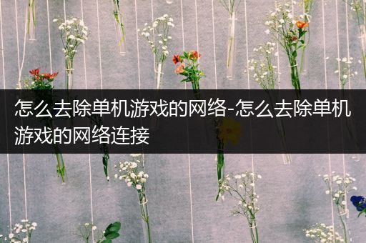 怎么去除单机游戏的网络-怎么去除单机游戏的网络连接